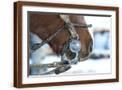 Brown Frame