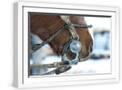 White Frame