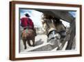 Brown Frame