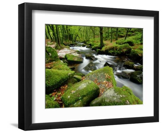 Premium Photographic Print, , large