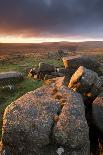 Moorland View at Belstone with Granite Outcrops, Near Okehampton, Dartmoor Np, Devon, England, UK-Ross Hoddinott-Photographic Print