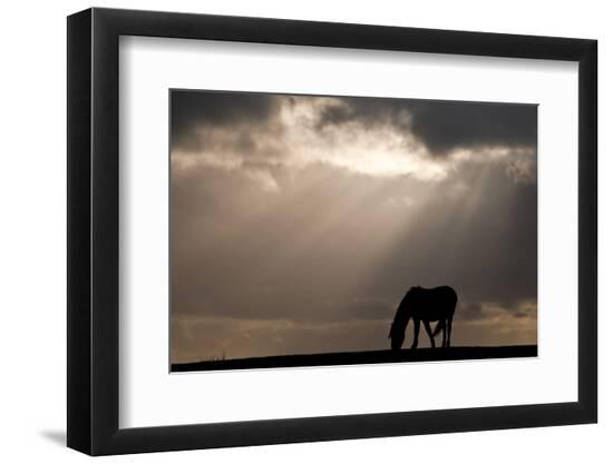 Photographic Print, , large