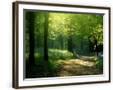 Chelsea Forest Gray