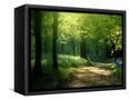 Canvas Black