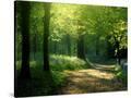 Stretched Canvas