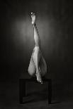 Delicately Poised-Ross Oscar-Photographic Print