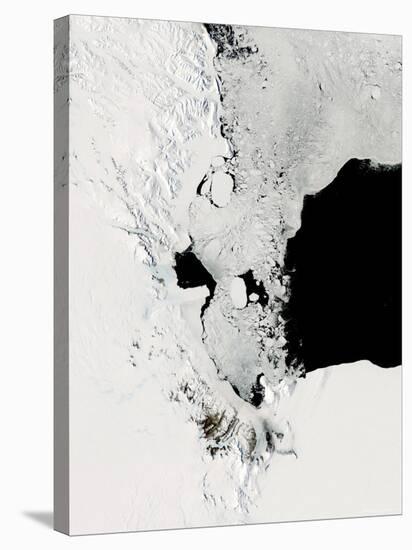 Ross Sea, Antarctica-Stocktrek Images-Stretched Canvas