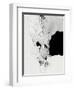 Ross Sea, Antarctica-Stocktrek Images-Framed Photographic Print