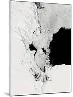 Ross Sea, Antarctica-Stocktrek Images-Mounted Photographic Print