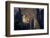 Rossanou Monastery, Meteora, Unesco World Heritage Site, Greece-Charles Bowman-Framed Photographic Print