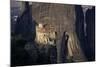 Rossanou Monastery, Meteora, Unesco World Heritage Site, Greece-Charles Bowman-Mounted Photographic Print