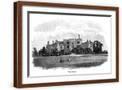 Brown Frame