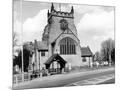 Wood Mount