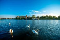 Beautiful View on Vistula River with Swans Swimming near Wawel Castle in Krakow on the Morning-RossHelen-Photographic Print