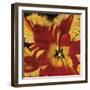 Rosso Fiore I-Citrine-Framed Giclee Print