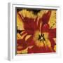 Rosso Fiore I-Citrine-Framed Giclee Print