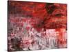 Rosso tramonto-Italo Corrado-Stretched Canvas