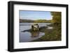 Rostellan Portal Tomb, County Cork, Munster, Republic of Ireland, Europe-Carsten Krieger-Framed Photographic Print