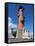 Rostral Column, St. Petersburg, Russia, Europe-Vincenzo Lombardo-Framed Stretched Canvas