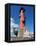 Rostral Column, St. Petersburg, Russia, Europe-Vincenzo Lombardo-Framed Stretched Canvas
