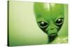 Roswell Alien-Detlev Van Ravenswaay-Stretched Canvas