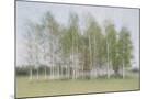 Wood Mount