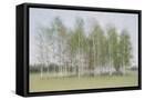 Canvas Black