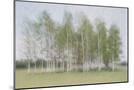 Wood Mount