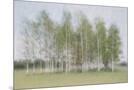 Wood Mount