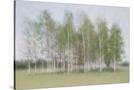 Stretched Canvas