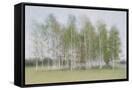 Canvas Black
