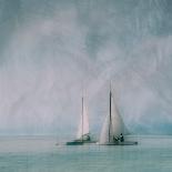 Sailing Trip-Roswitha Schleicher-Schwarz-Photographic Print