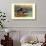 Rosy-Billed Duck-Allan Brooks-Art Print displayed on a wall