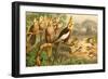 Rosy Cheeked Cockatiels or Cockatoo-F.W. Kuhnert-Framed Art Print