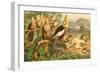 Rosy Cheeked Cockatiels or Cockatoo-F.W. Kuhnert-Framed Art Print