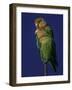 Rosy Faced Lovebirds-Art Wolfe-Framed Photographic Print