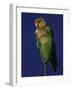 Rosy Faced Lovebirds-Art Wolfe-Framed Photographic Print