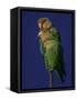 Rosy Faced Lovebirds-Art Wolfe-Framed Stretched Canvas