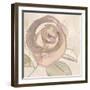 Rosy Flower II-Jacob Q-Framed Art Print