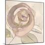 Rosy Flower II-Jacob Q-Mounted Art Print