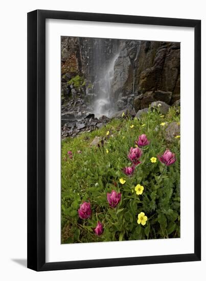 Rosy Paintbrush and Alpine Avens, San Juan Nat'l Forest, Colorado, USA-James Hager-Framed Photographic Print