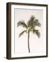 Rosy Palm Tree-Leah Straatsma-Framed Art Print