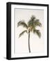 Rosy Palm Tree-Leah Straatsma-Framed Art Print