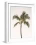 Rosy Palm Tree-Leah Straatsma-Framed Art Print
