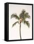 Rosy Palm Tree-Leah Straatsma-Framed Stretched Canvas