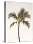 Rosy Palm Tree-Leah Straatsma-Stretched Canvas