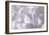 Rosy Petals II-Rita Crane-Framed Photographic Print