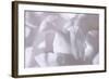 Rosy Petals II-Rita Crane-Framed Photographic Print