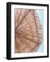 Rosy Straw Umbrella-Leah Straatsma-Framed Art Print