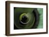 Rotated-Heidi Westum-Framed Photographic Print